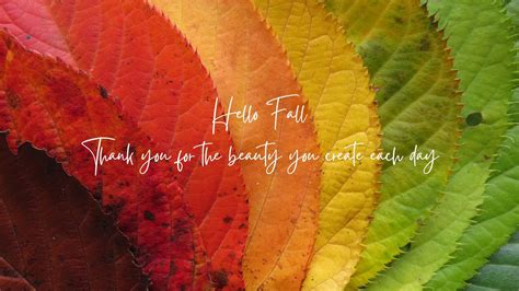 fall facebook cover photos free